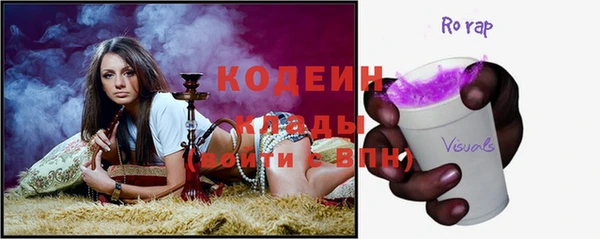 дурь Гусев