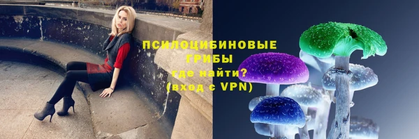 дурь Гусев