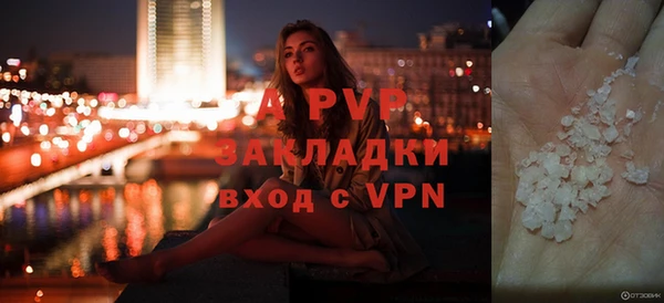 дурь Гусев