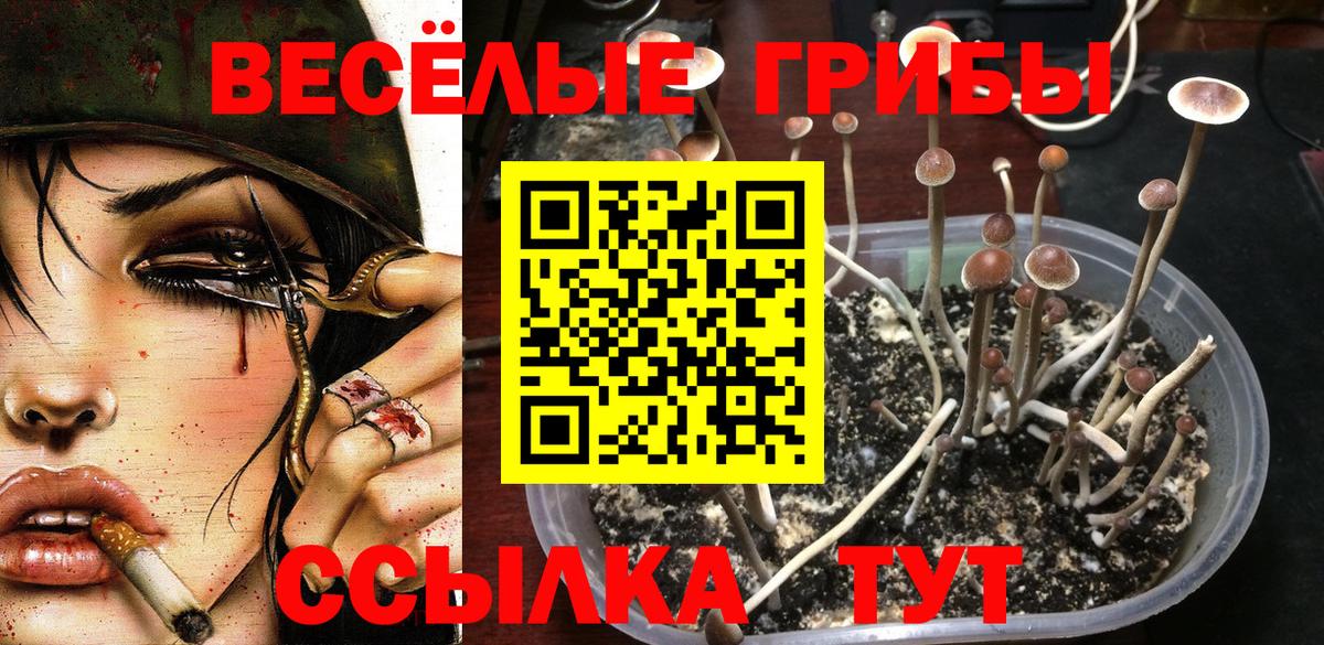 Галлюциногенные грибы ЛСД  Вход с VPN  Кинель 