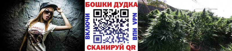 darknet Telegram  Кинель  Канабис AK-47 